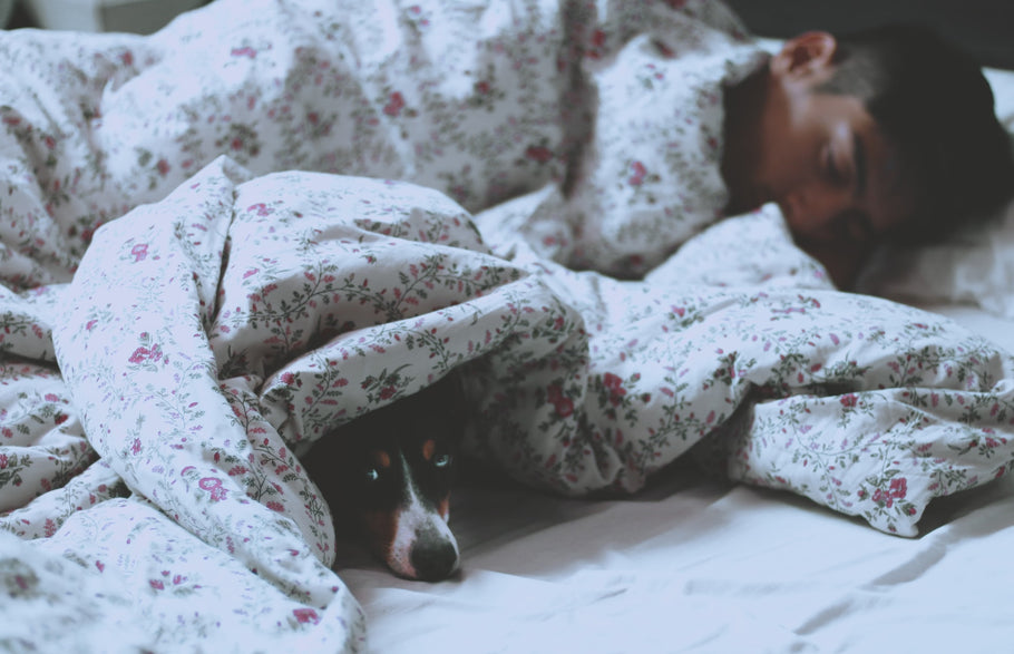 Fases del sueño: ¿qué sucede en cada una de ellas?
