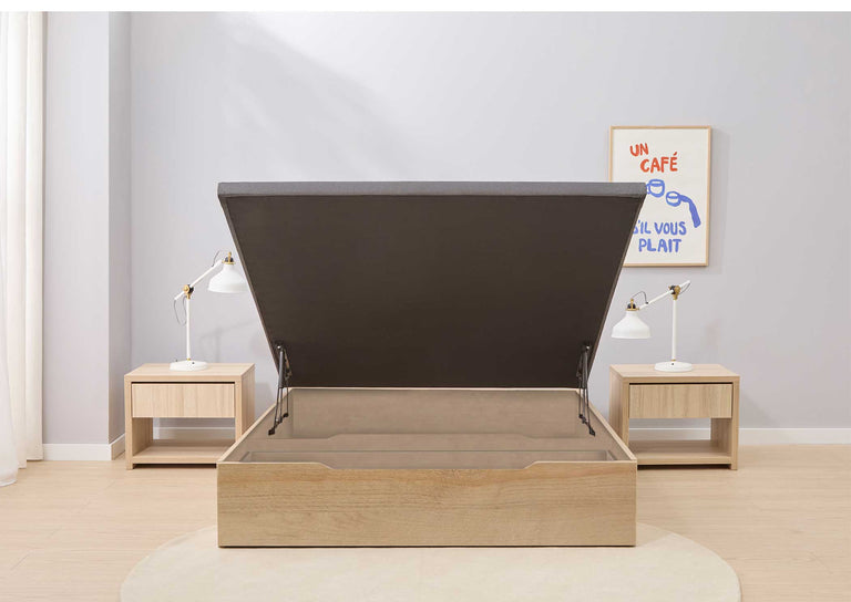 EL CANAPÉ ABATIBLE CON ZAPATERO