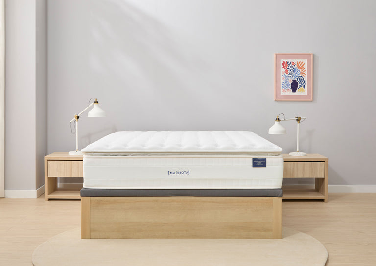 Pack SUPERLUXE EDITION + canapé + almohada + protector