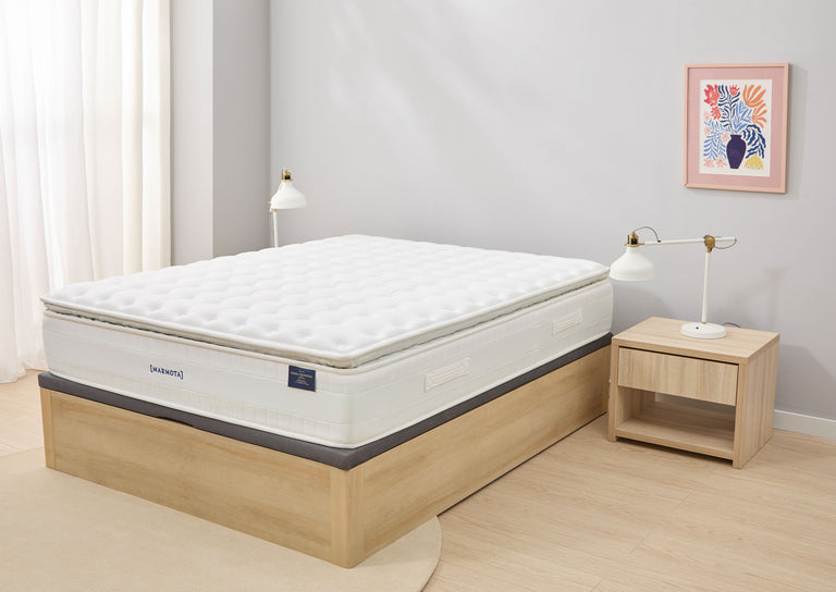 Pack SUPERLUXE EDITION + canapé + almohada + protector