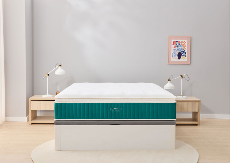 Pack MAGNUM + canapé + almohada + protector