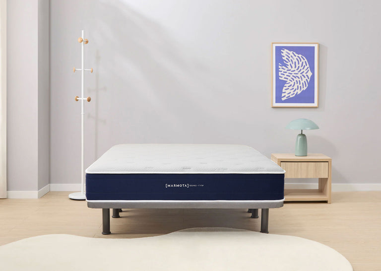 Pack Techno·Firm + tapibase + almohada + protector